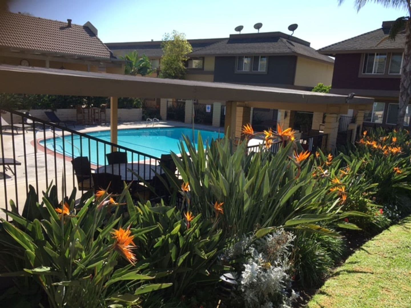 TUSTIN Apartment: 14382 REDHILL AVE