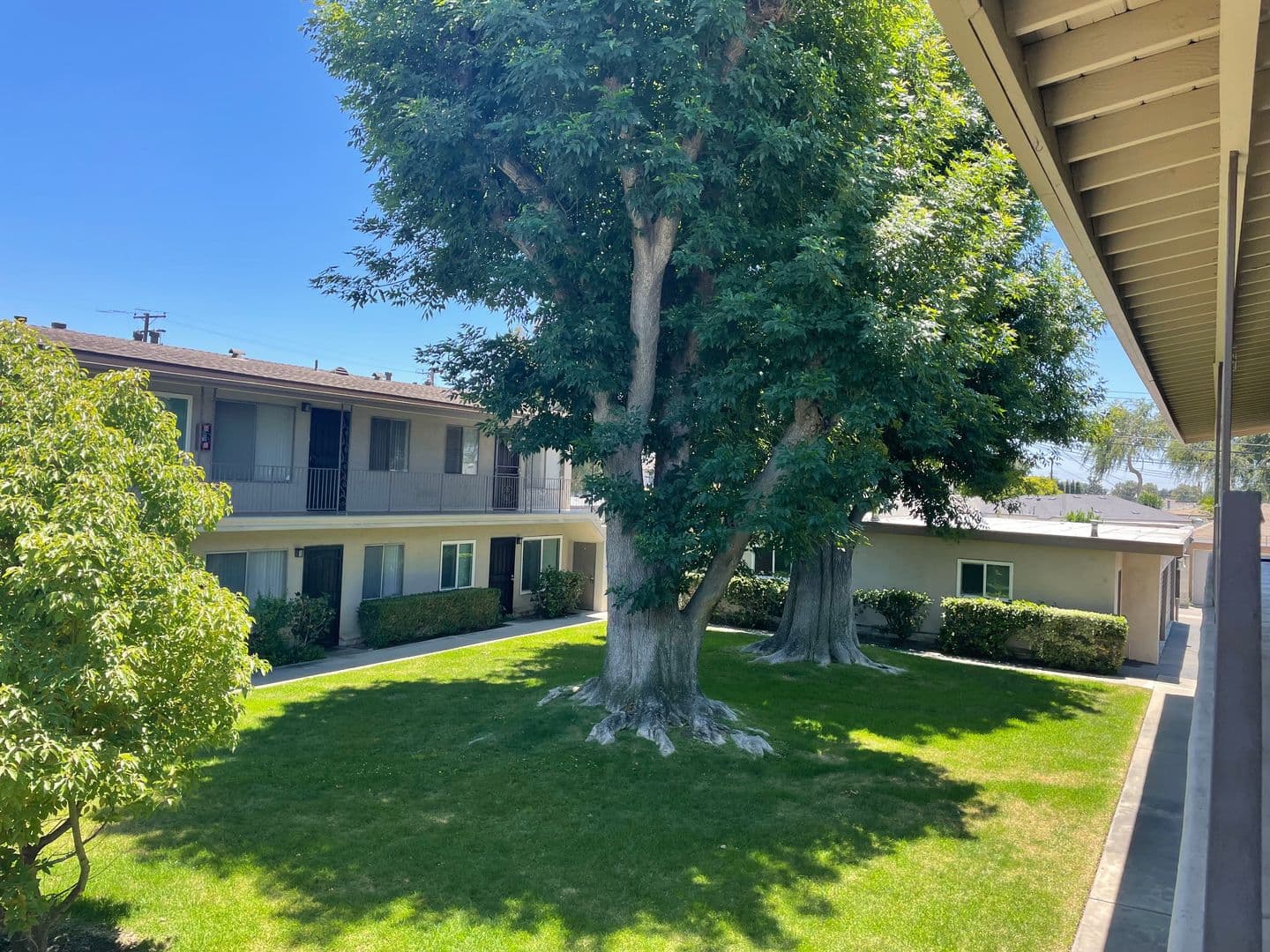 FULLERTON Apartment: 1842 - 1848 W VALENCIA DR