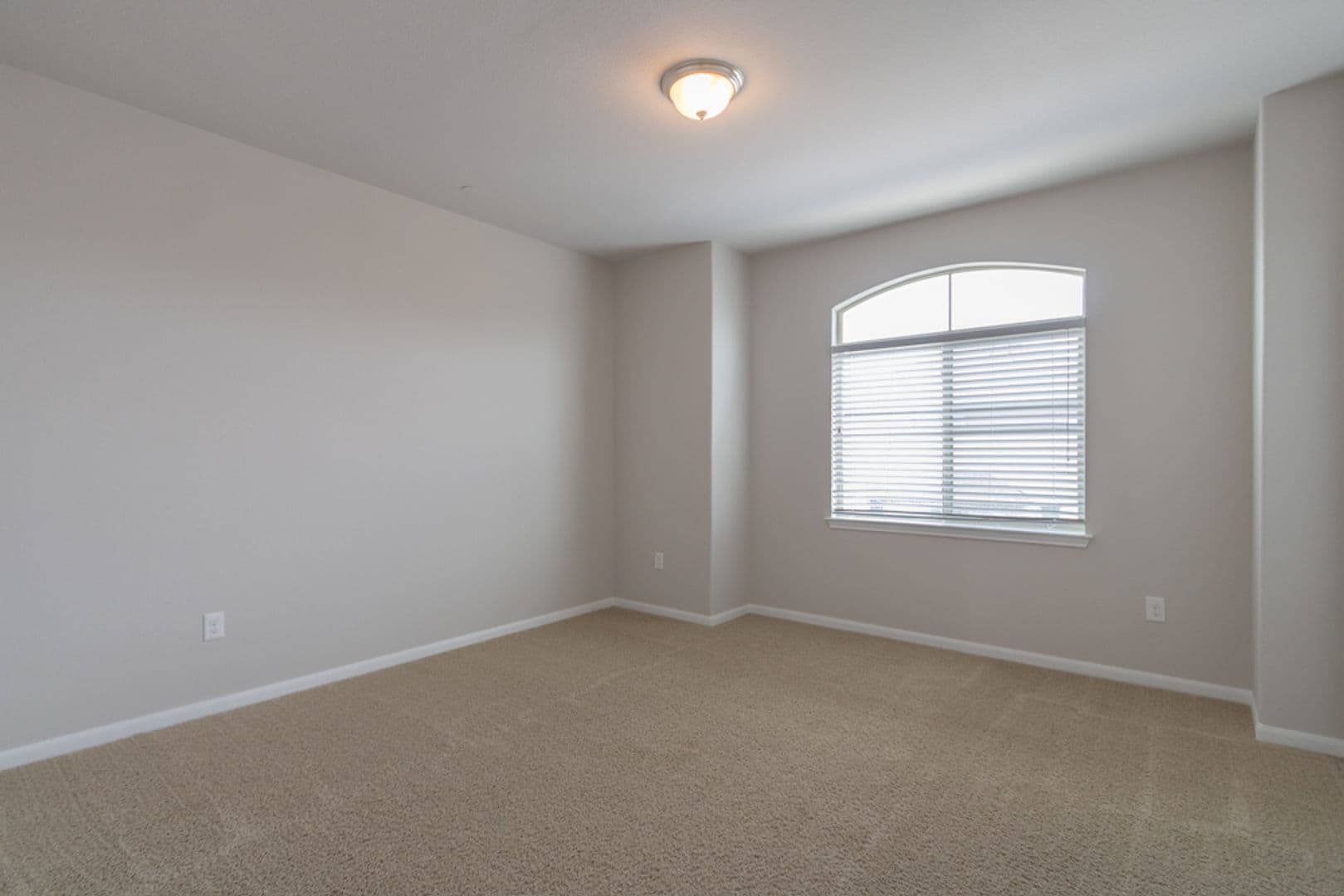 Round Rock House: 2880 Donnell Dr Unit #4101