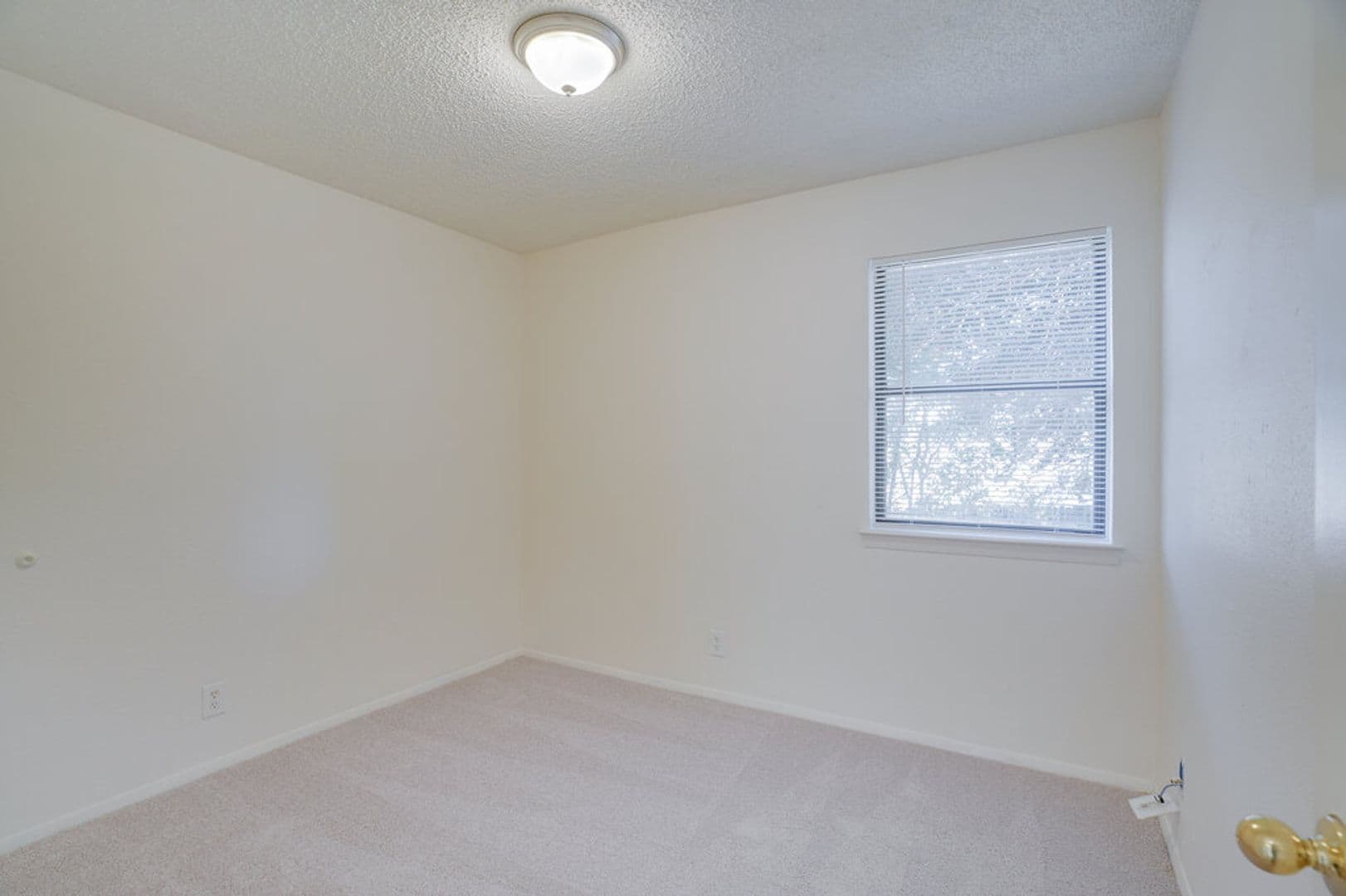 Austin Multiplex: 6713 Deatonhill Drive