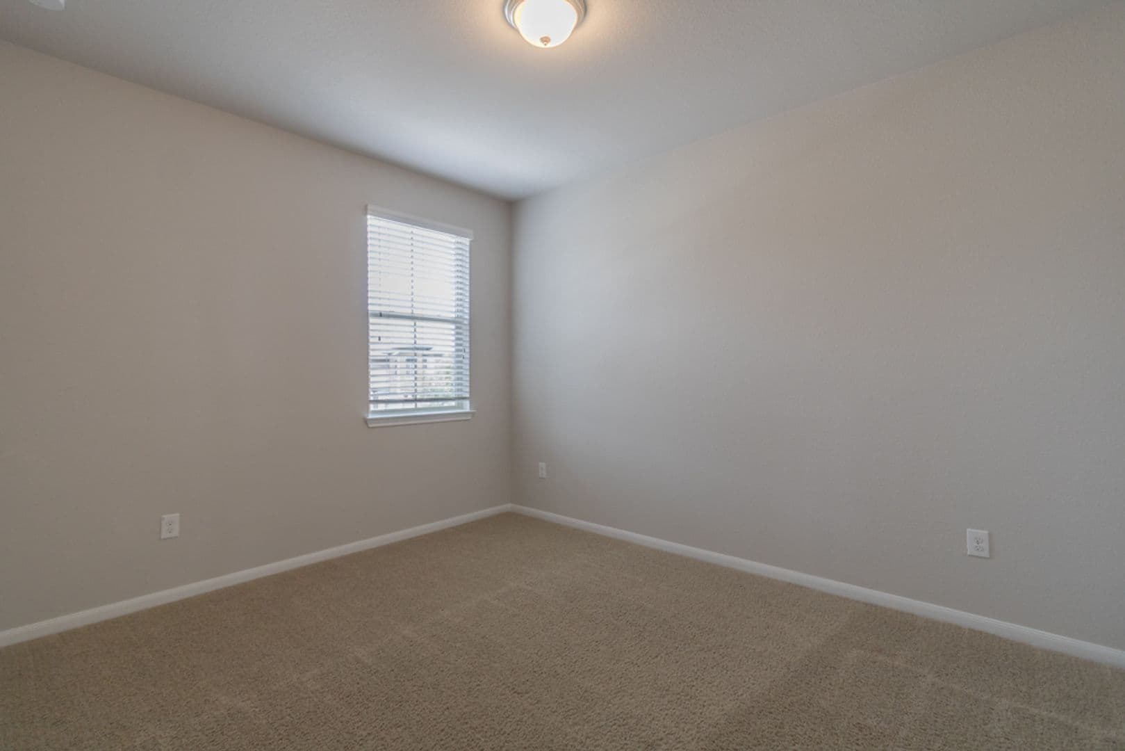 Round Rock House: 2880 Donnell Dr Unit #4101