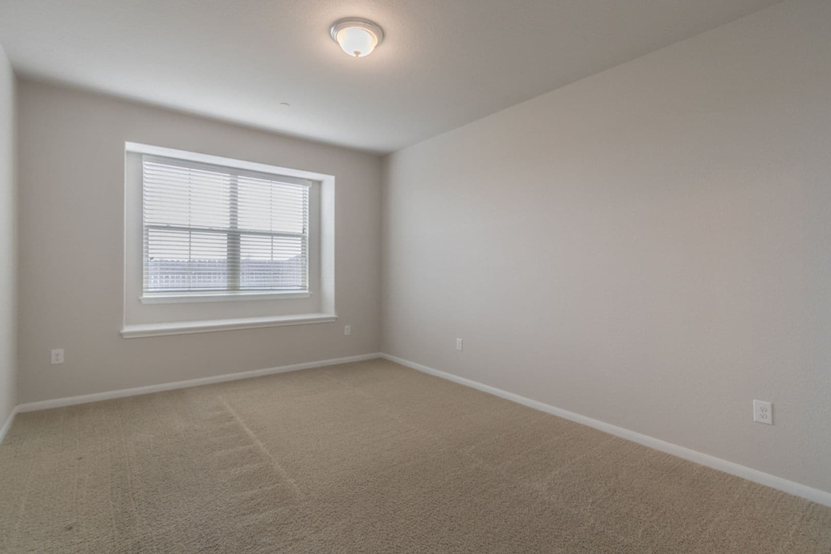 Round Rock House: 2880 Donnell Dr Unit #4101