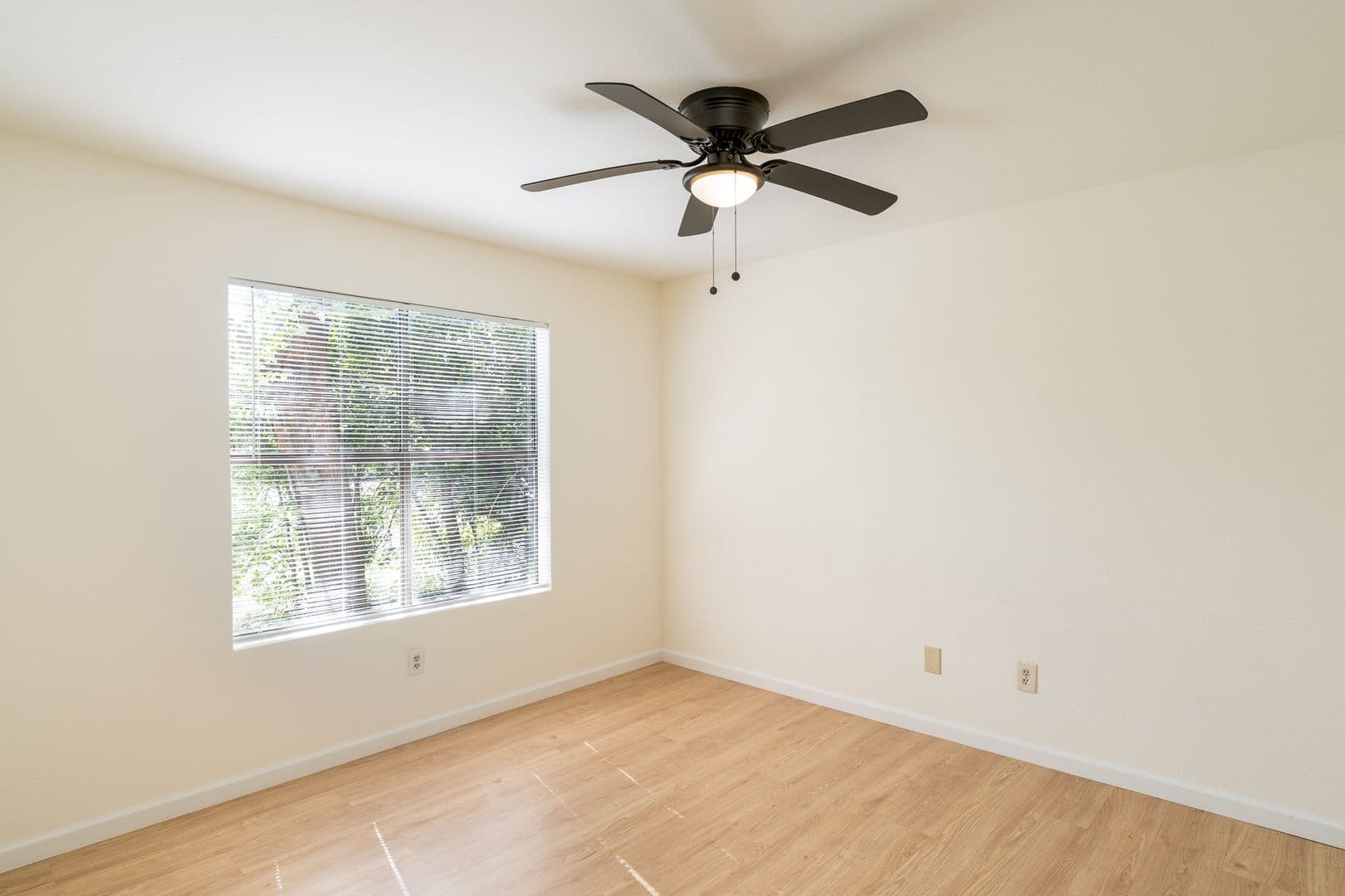Austin Apartment: 8701 Schick Rd