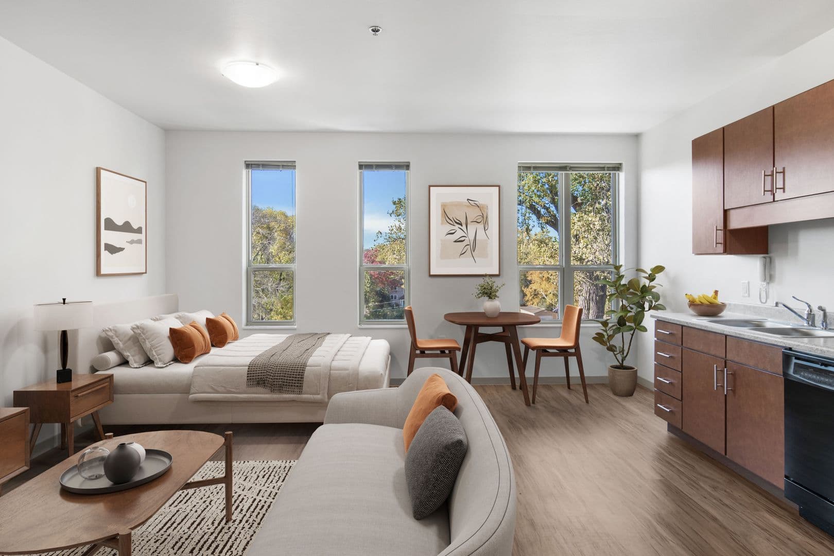 Madison Apartment: 1003 E. Mifflin St.
