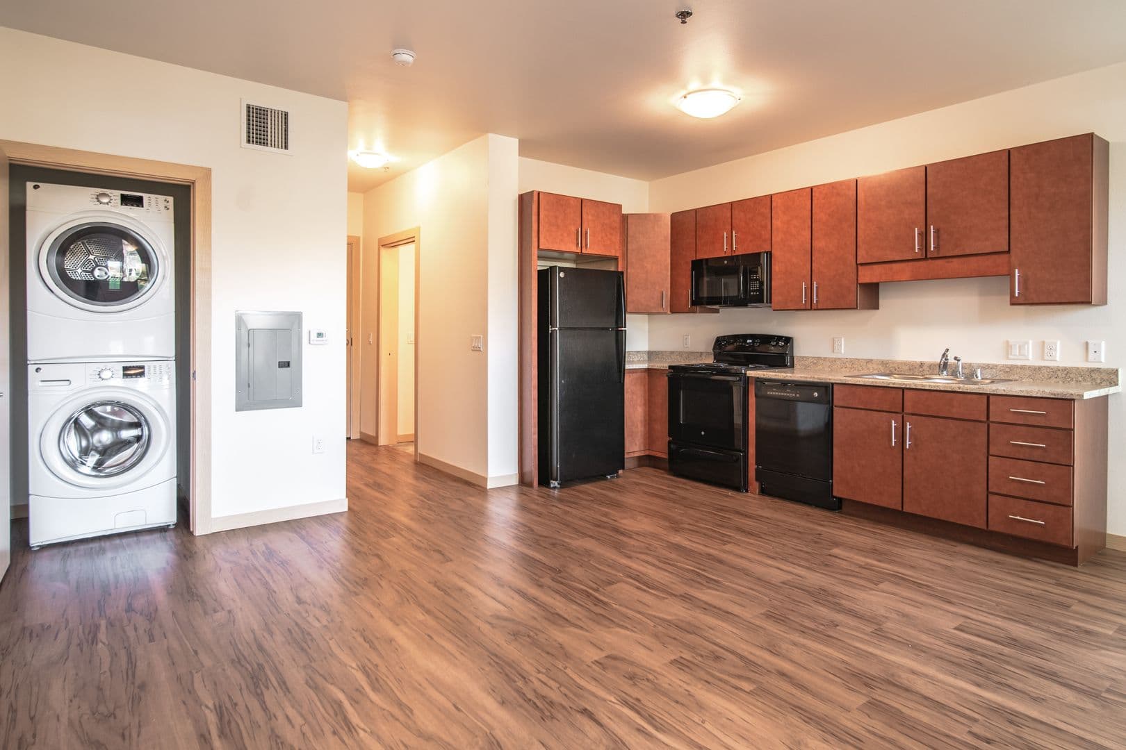 Madison Apartment: 1003 E. Mifflin St.