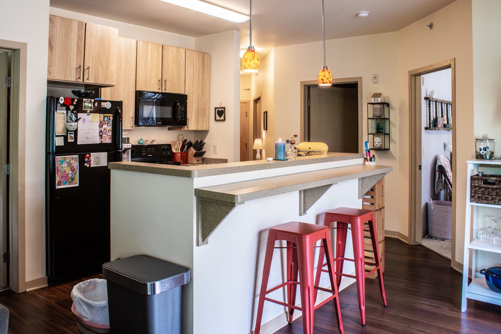 Madison Apartment: 614 E Johnson St.