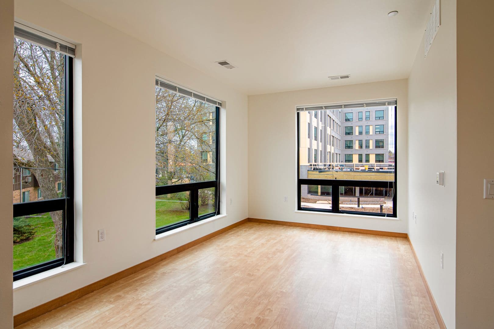 Madison Apartment: Ella