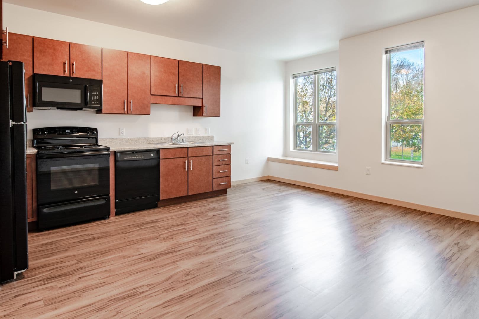 Madison Apartment: 1003 E. Mifflin St.