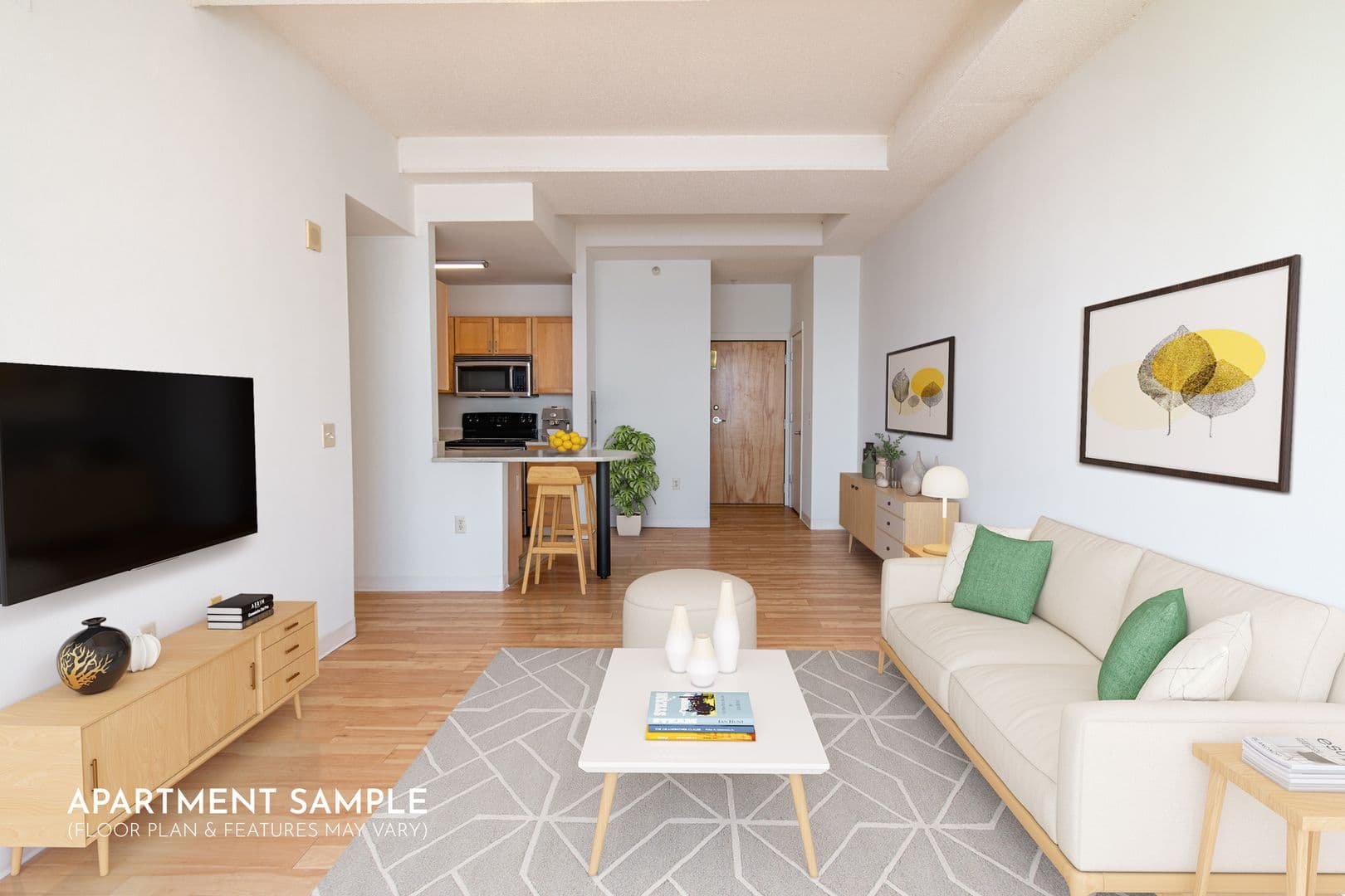 Madison Apartment: 132 E. Wilson St.
