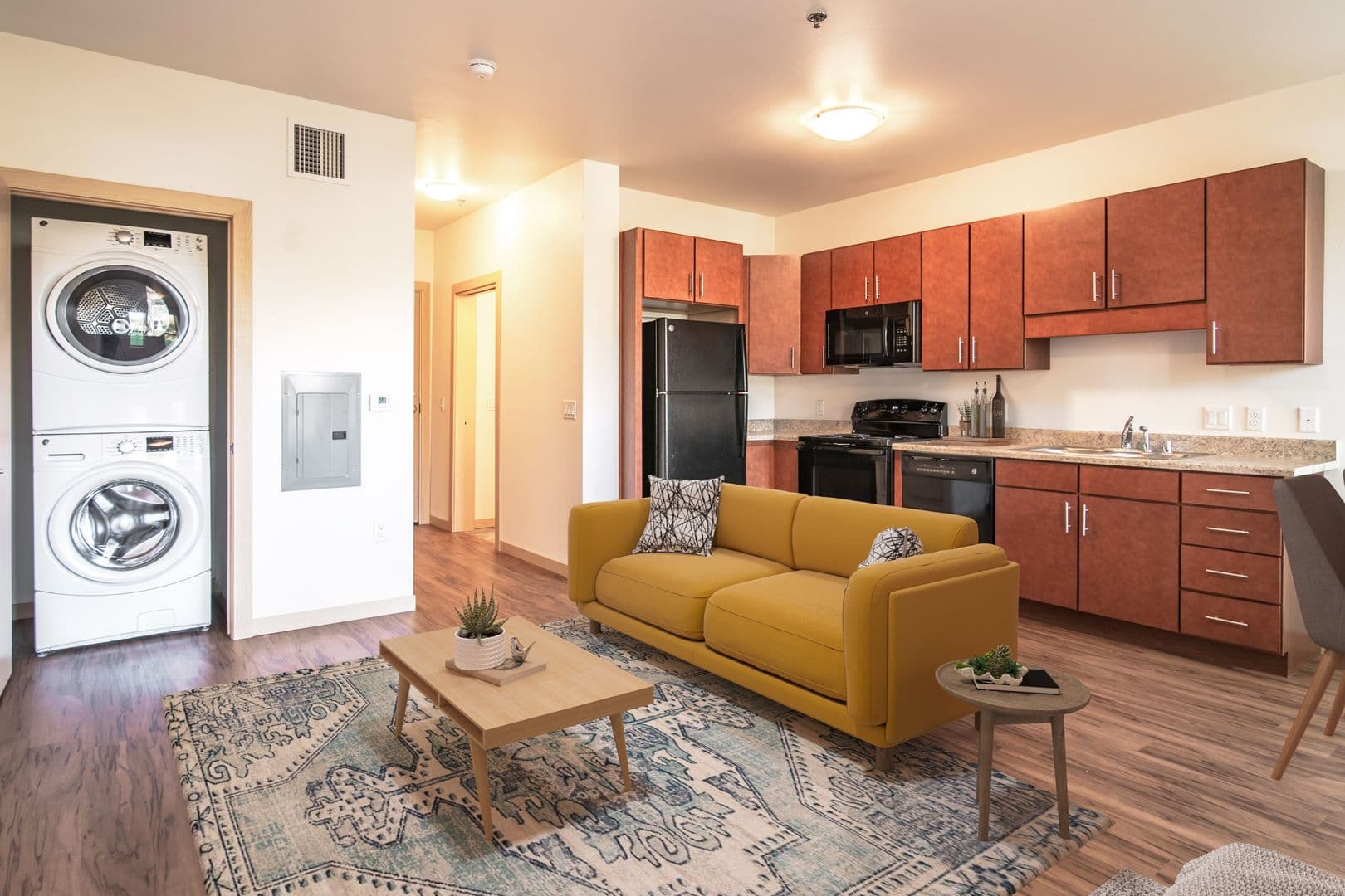 Madison Apartment: 1003 E. Mifflin St.
