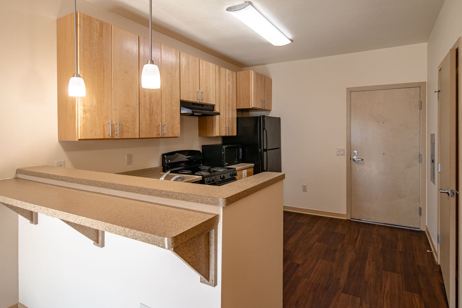 Madison Apartment: 614 E Johnson St.