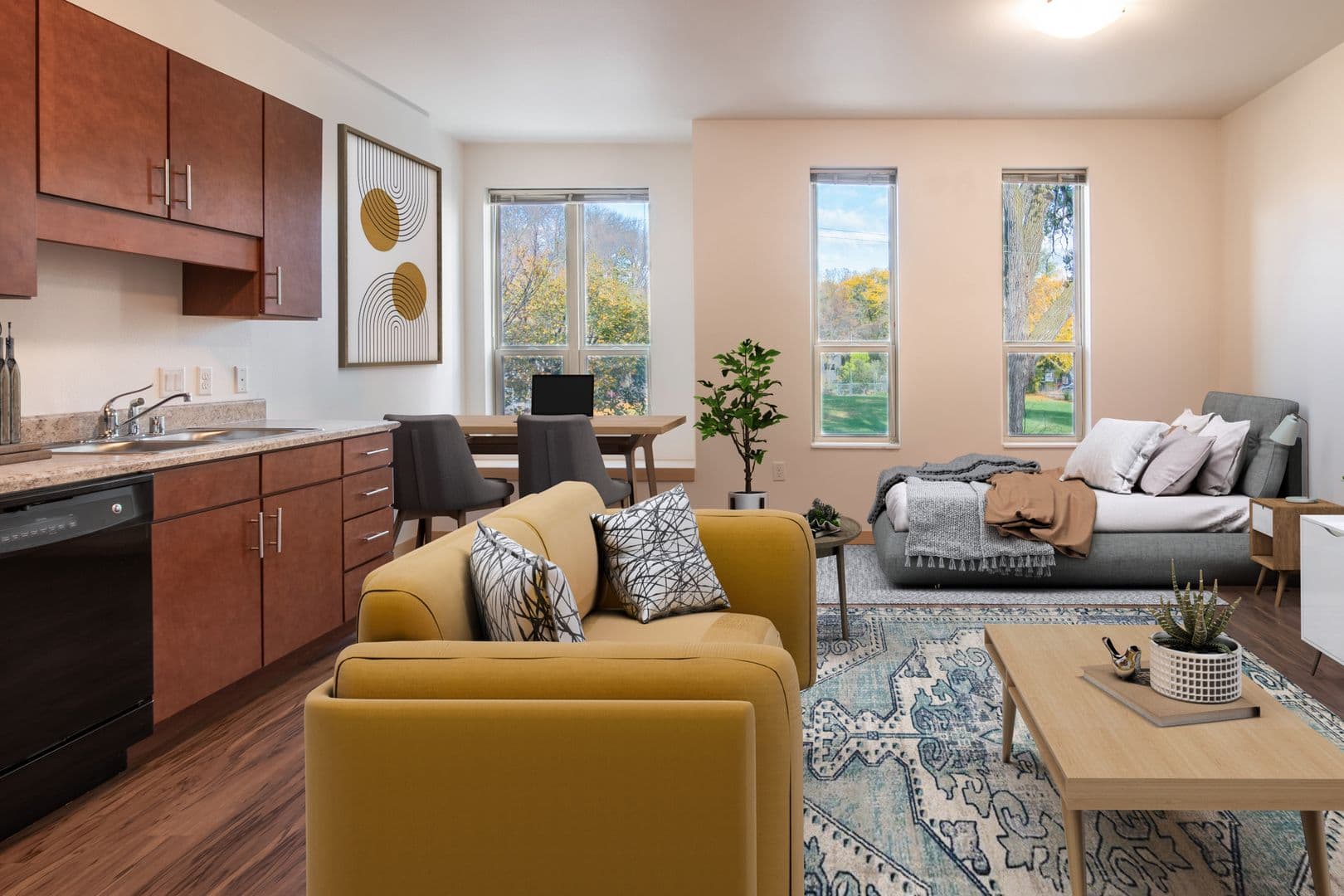 Madison Apartment: 1003 E. Mifflin St.