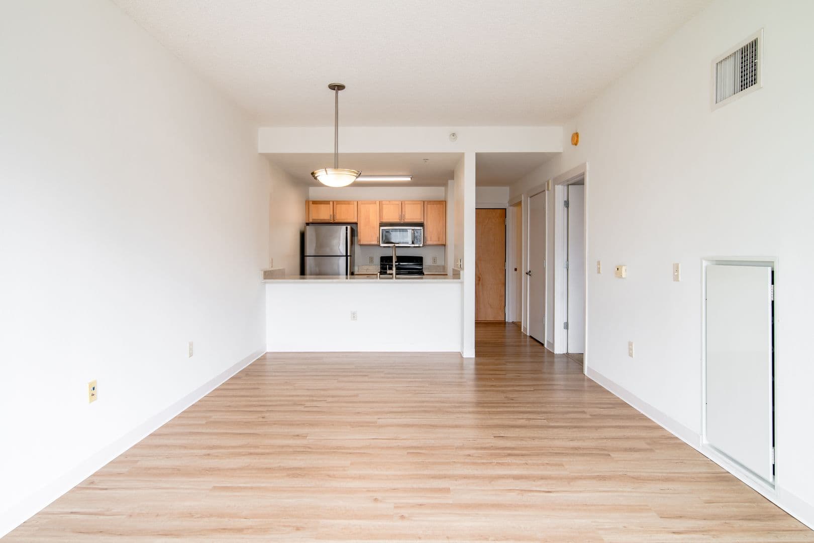 Madison Apartment: 132 E. Wilson St.