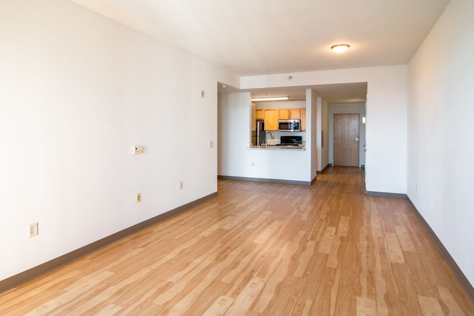 Madison Apartment: 132 E. Wilson St.