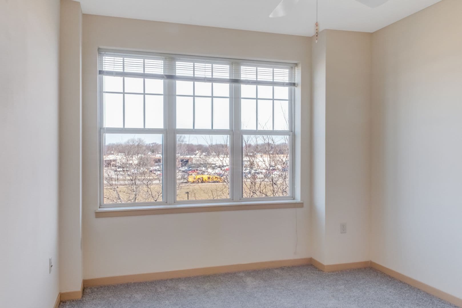 Madison Apartment: 1115 E Wilson St.