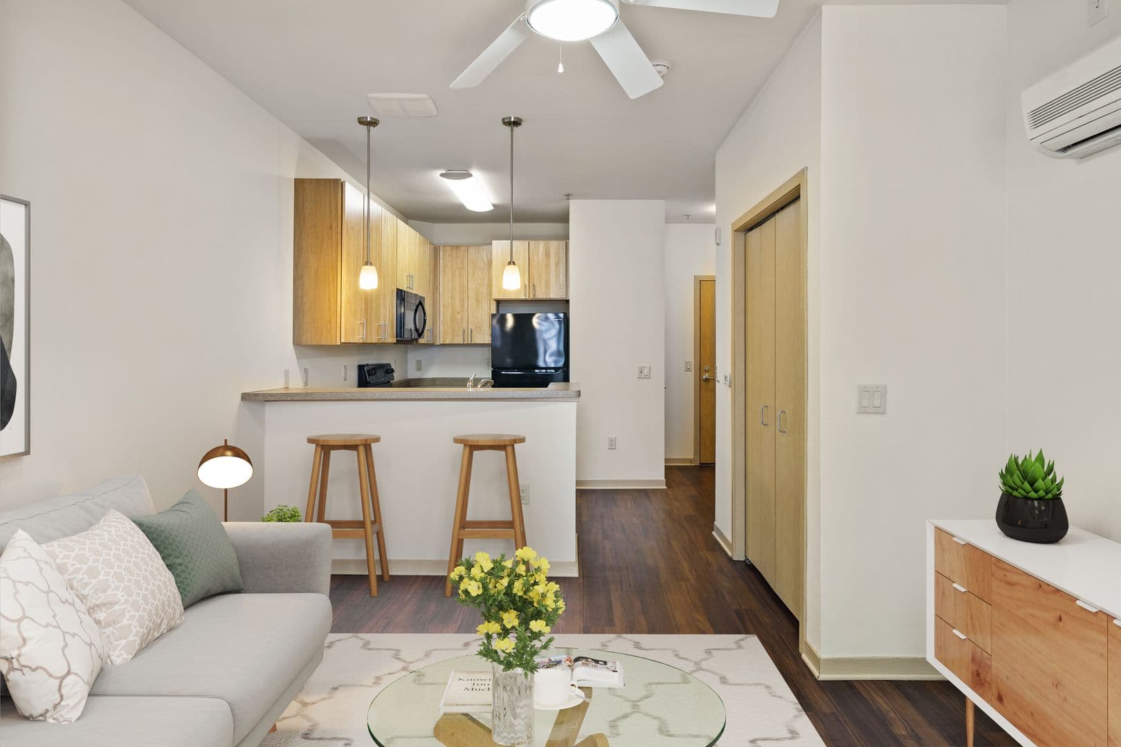 Madison Apartment: 614 E Johnson St.