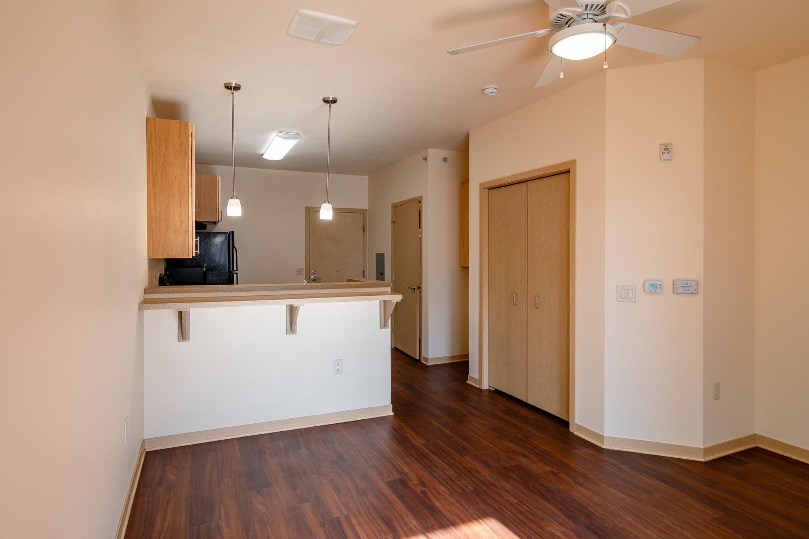 Madison Apartment: 614 E Johnson St.