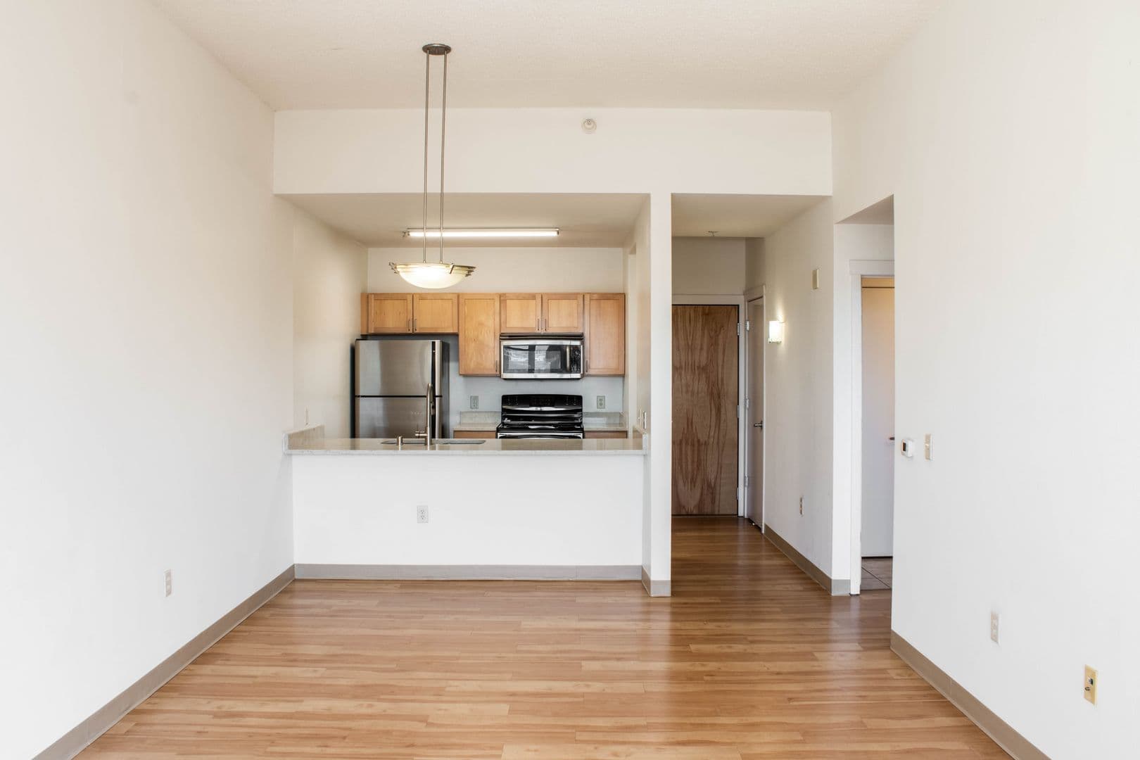Madison Apartment: 132 E. Wilson St.