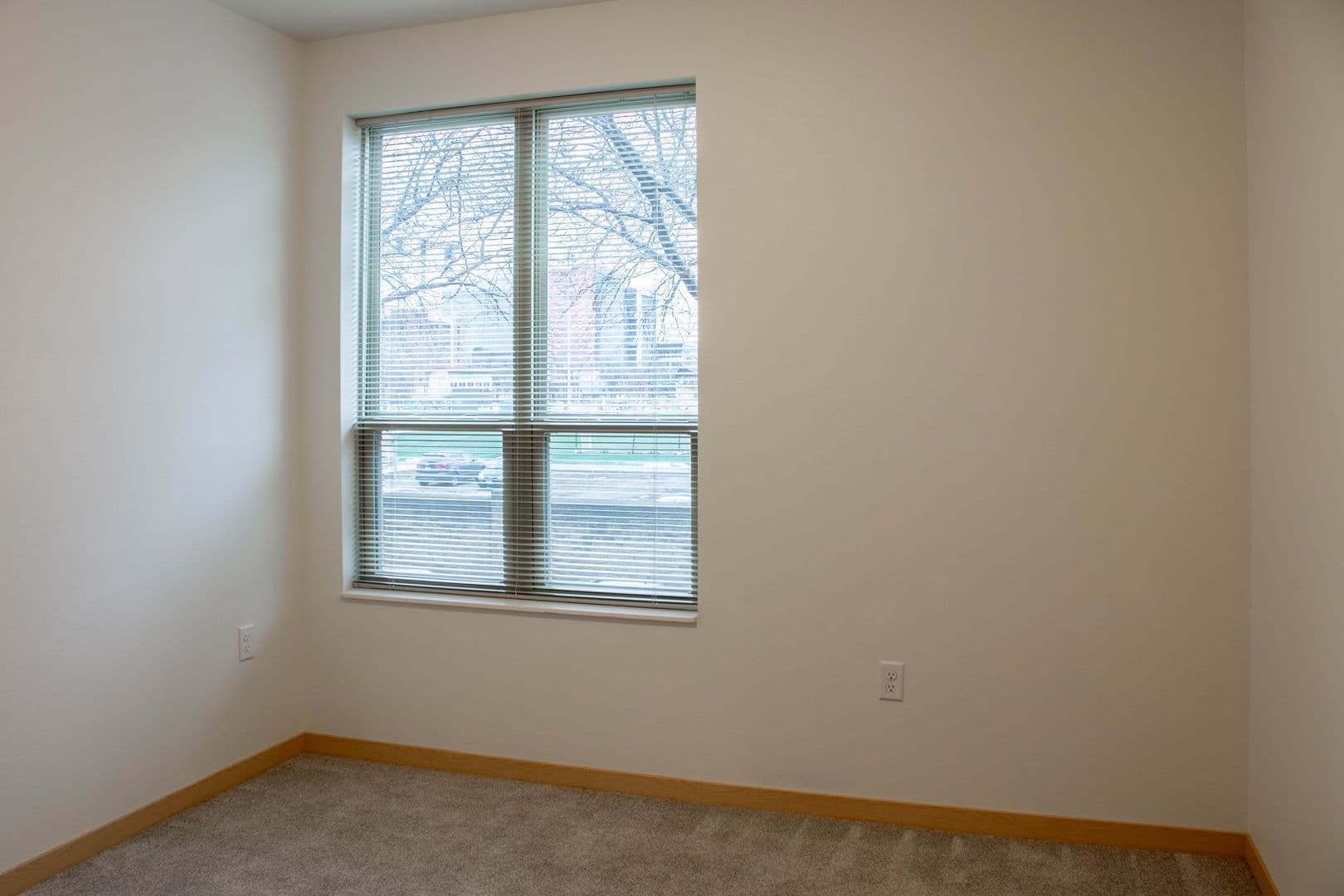 Madison Apartment: 1003 E. Mifflin St.