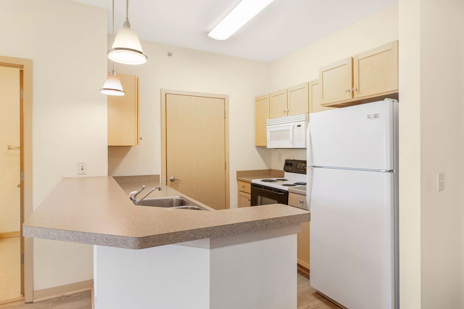 Madison Apartment: 1115 E Wilson St.
