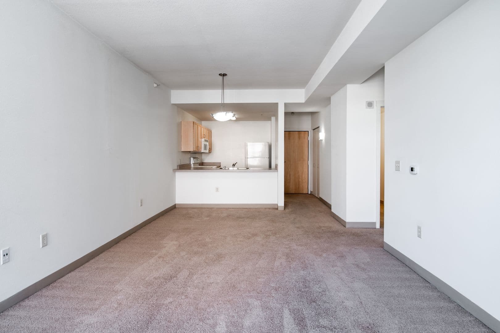 Madison Apartment: 132 E. Wilson St.