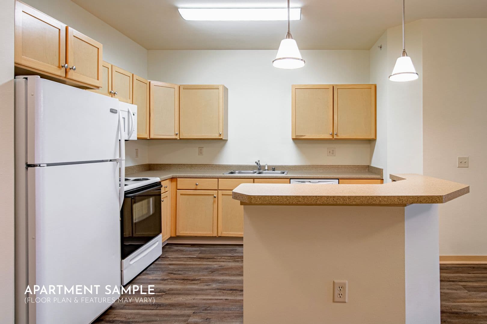 Madison Apartment: 1115 E Wilson St.