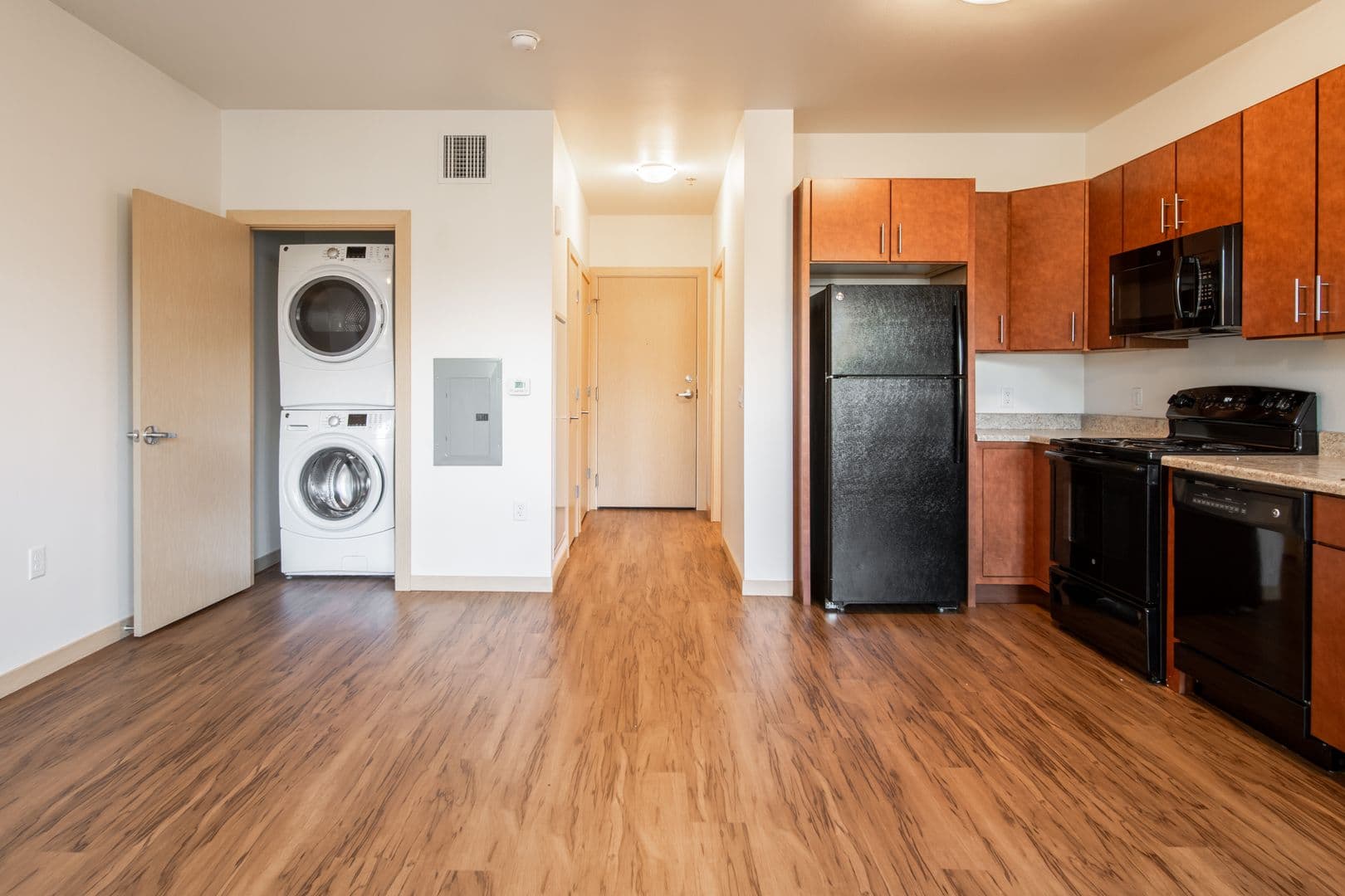 Madison Apartment: 1003 E. Mifflin St.