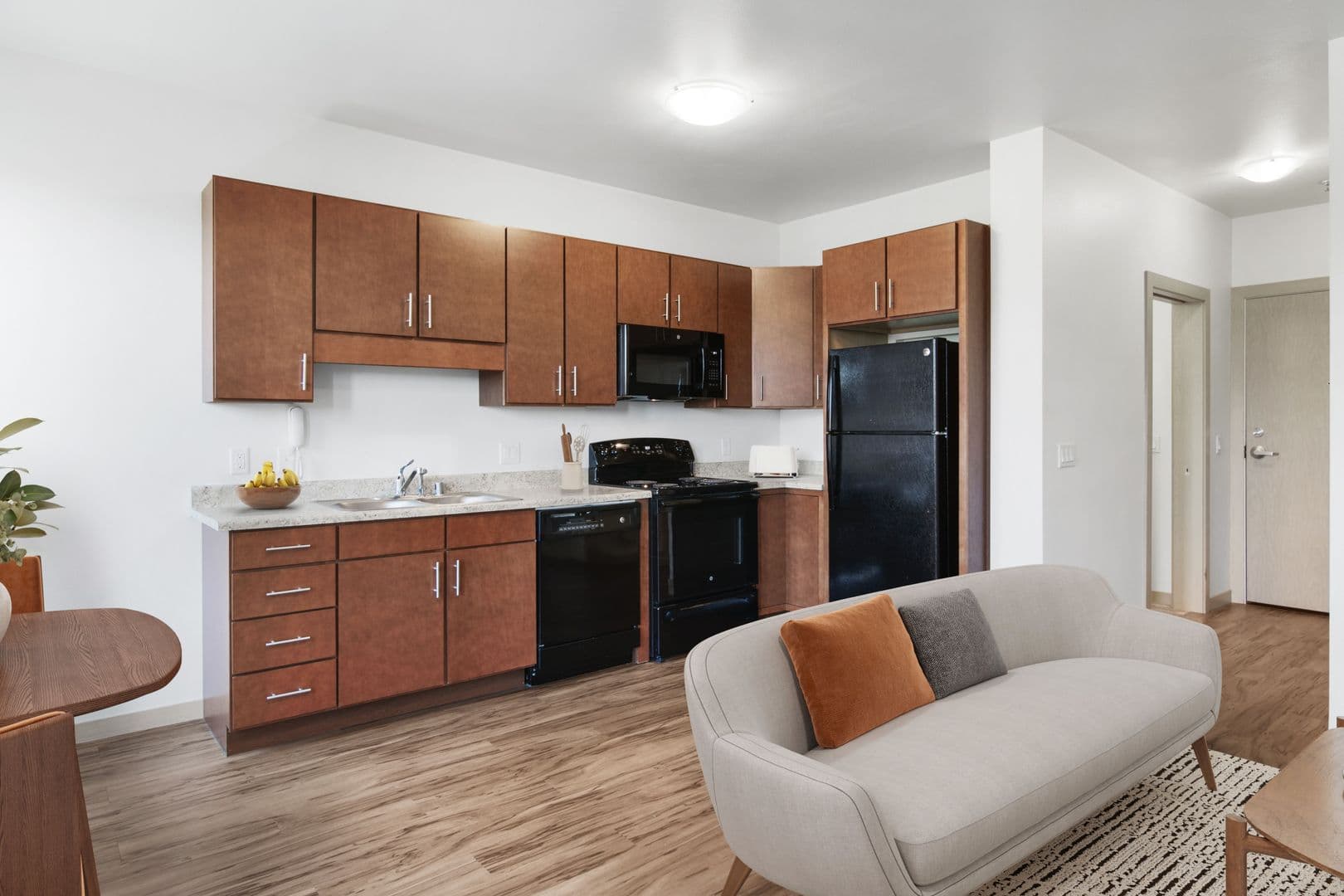 Madison Apartment: 1003 E. Mifflin St.