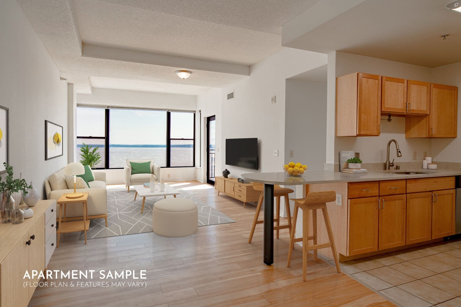 Madison Apartment: 132 E. Wilson St.