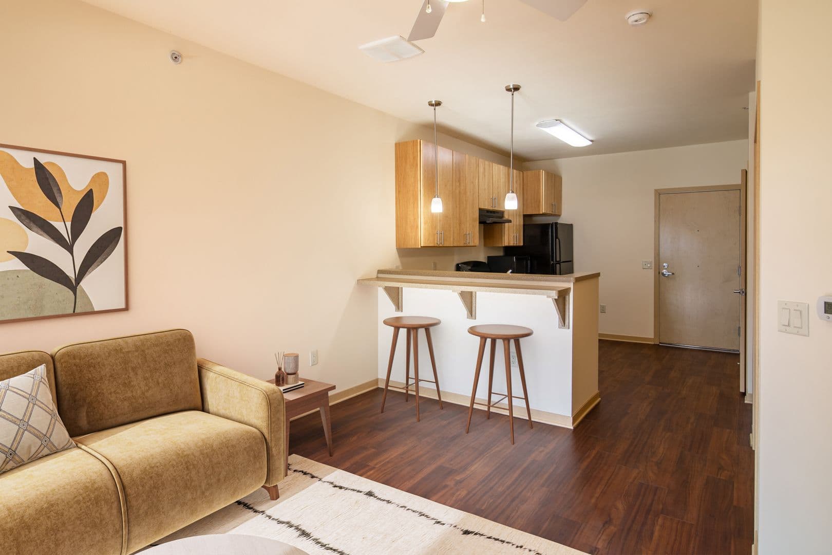 Madison Apartment: 614 E Johnson St.