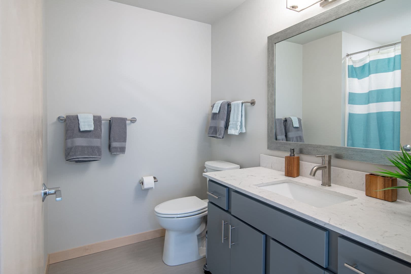 Madison Apartment: 216 S. Pinckney St.