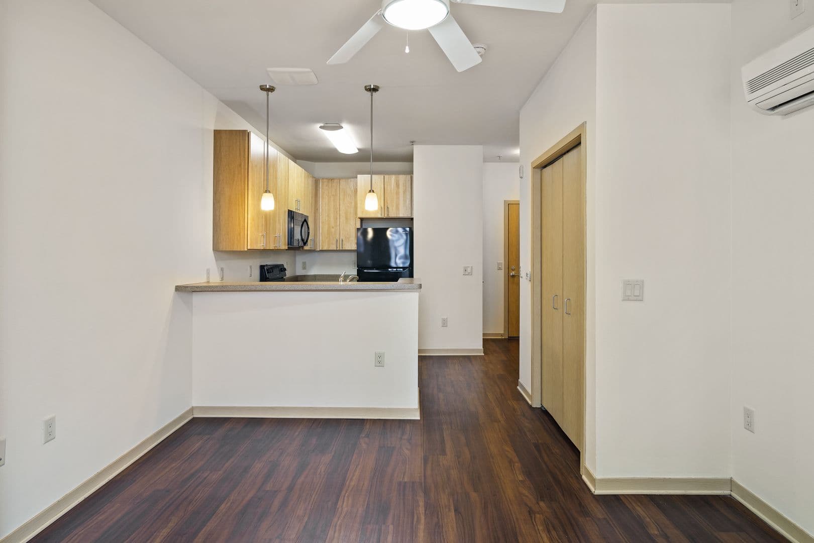 Madison Apartment: 614 E Johnson St.