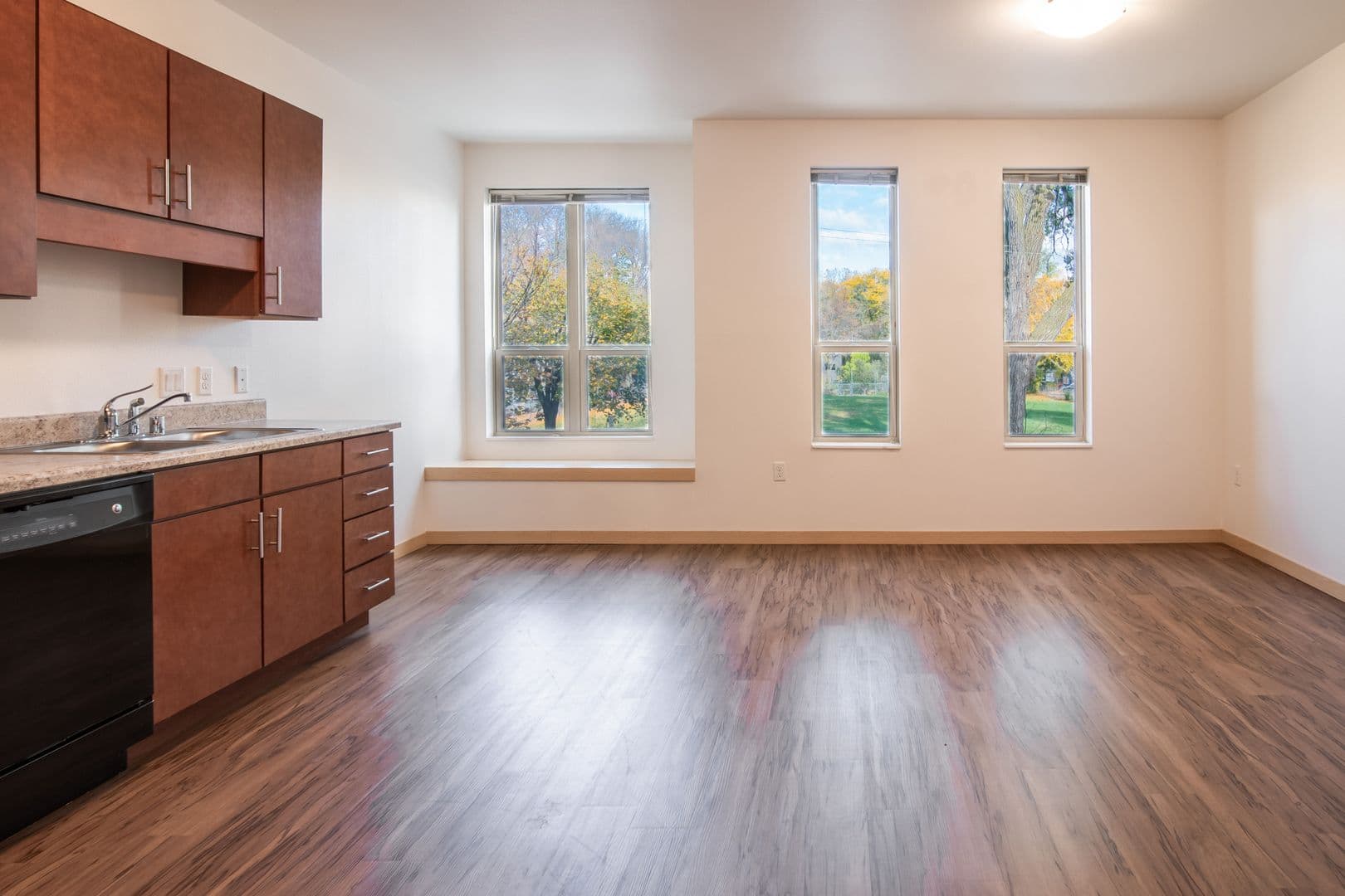 Madison Apartment: 1003 E. Mifflin St.