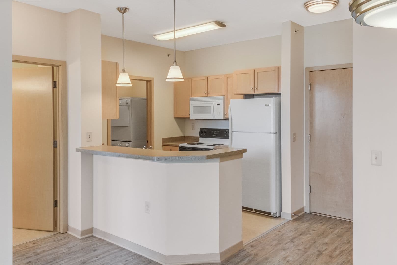 Madison Apartment: 1115 E Wilson St.