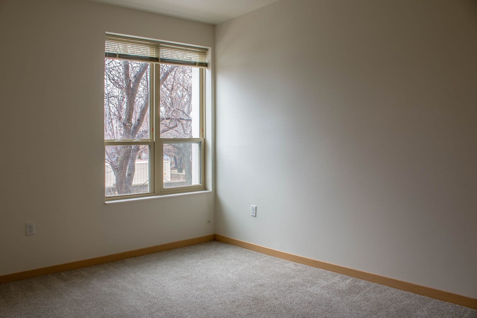 Madison Apartment: 1003 E. Mifflin St.