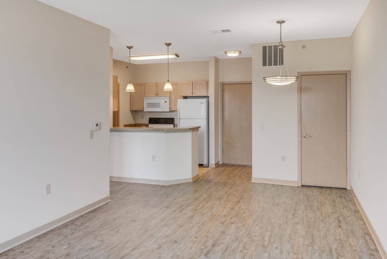 Madison Apartment: 1115 E Wilson St.
