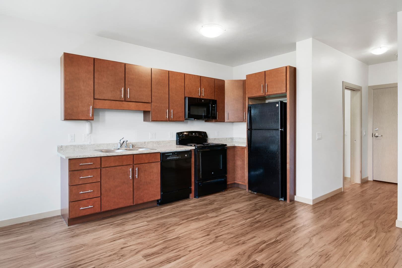 Madison Apartment: 1003 E. Mifflin St.