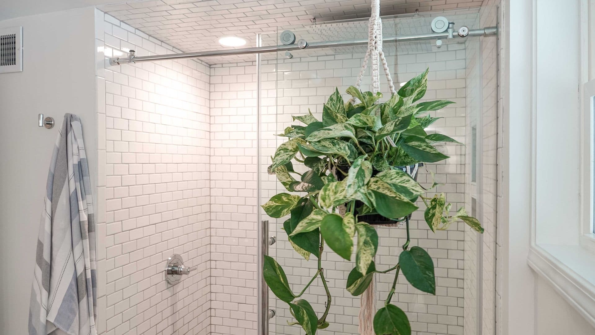 Greenville Apartment: 31 Swanson Court