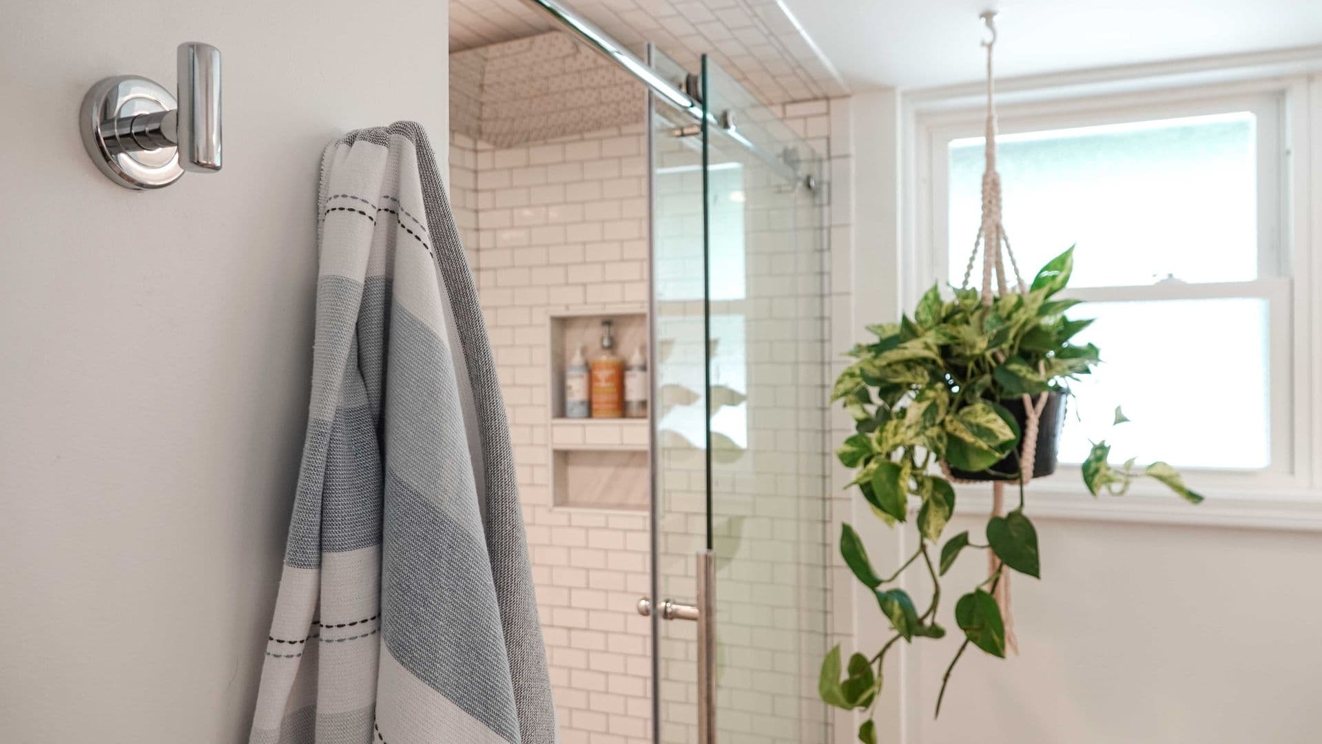 Greenville Apartment: 31 Swanson Court
