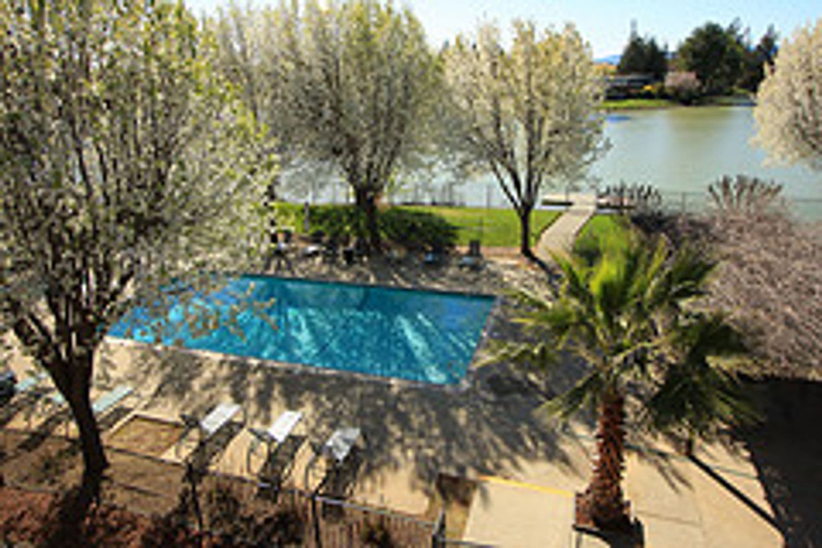 Davis Apartment: 1175 Lake Blvd