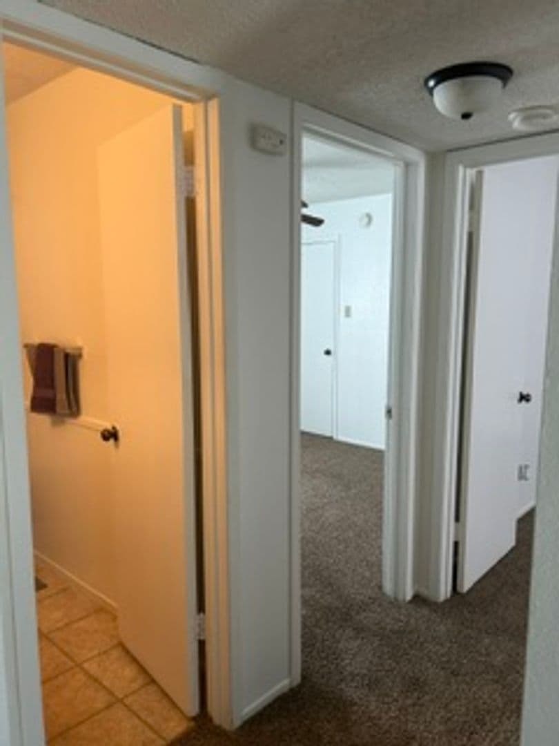 Lubbock Apartment: 5502 56th St.