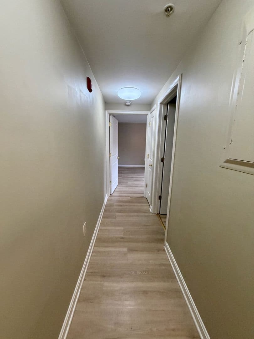 Baltimore Apartment: 2440 St Paul St