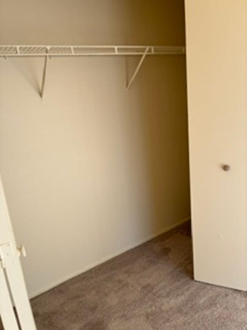 Spring Hill Townhome: 10565 Chalmer Street