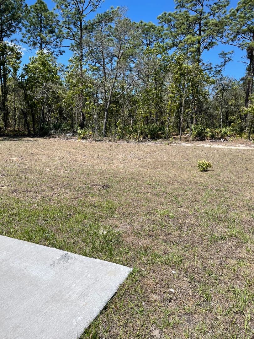 Weeki Wachee House: 15265 Mottled Owl Road