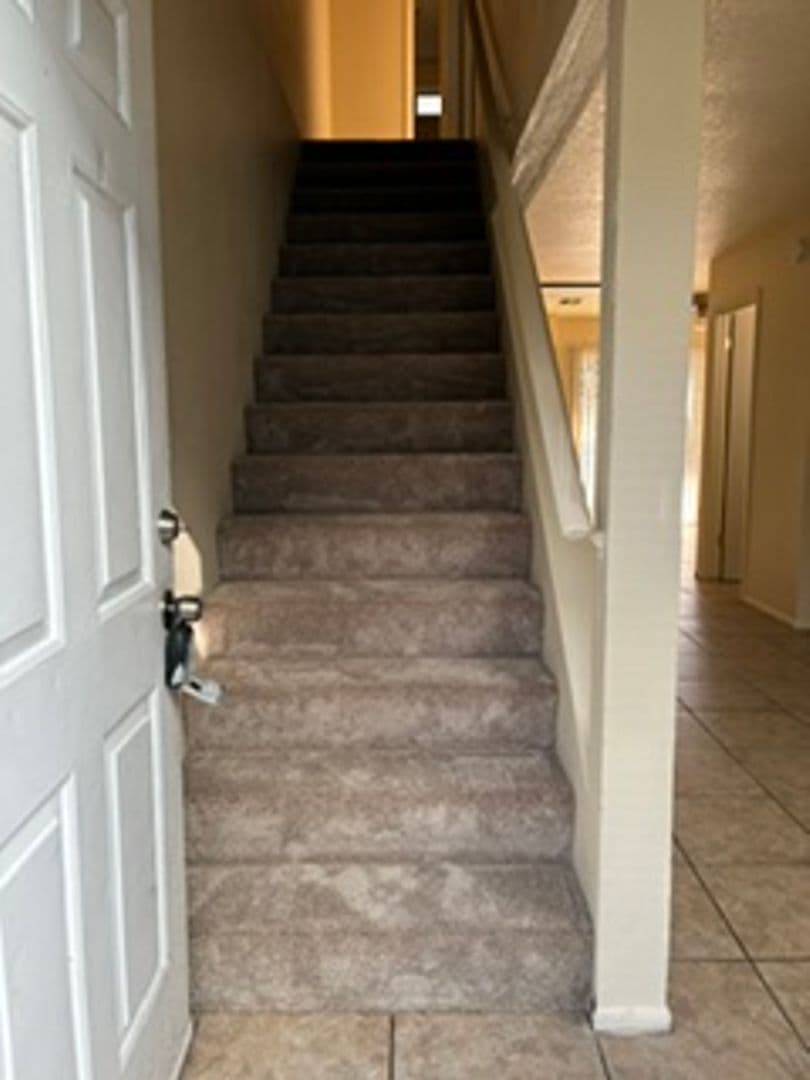 Spring Hill Townhome: 10565 Chalmer Street