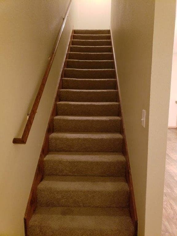 Springdale Apartment: Hidden Lake St