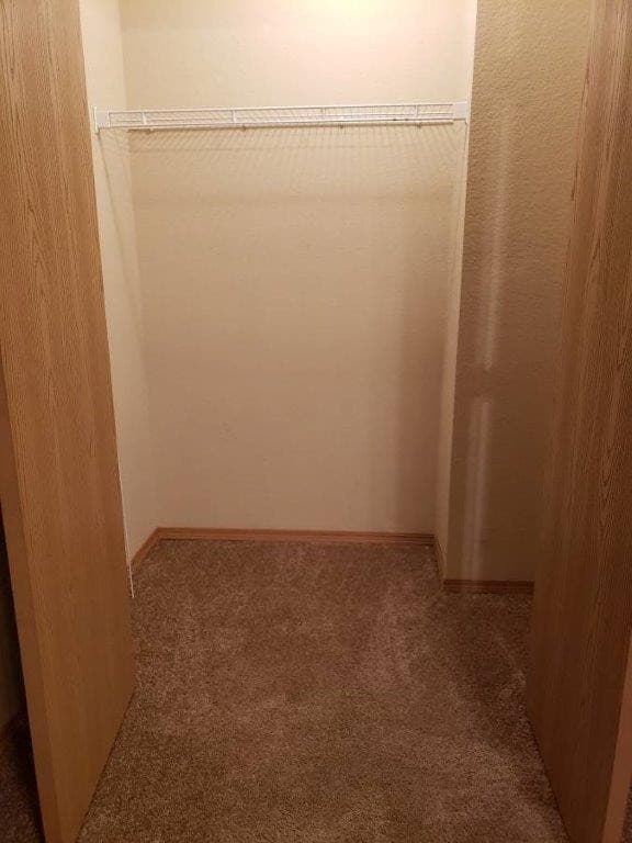 Springdale Apartment: Hidden Lake St