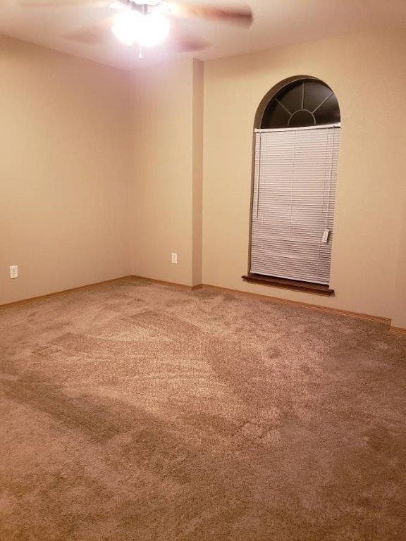 Springdale Apartment: Hidden Lake St