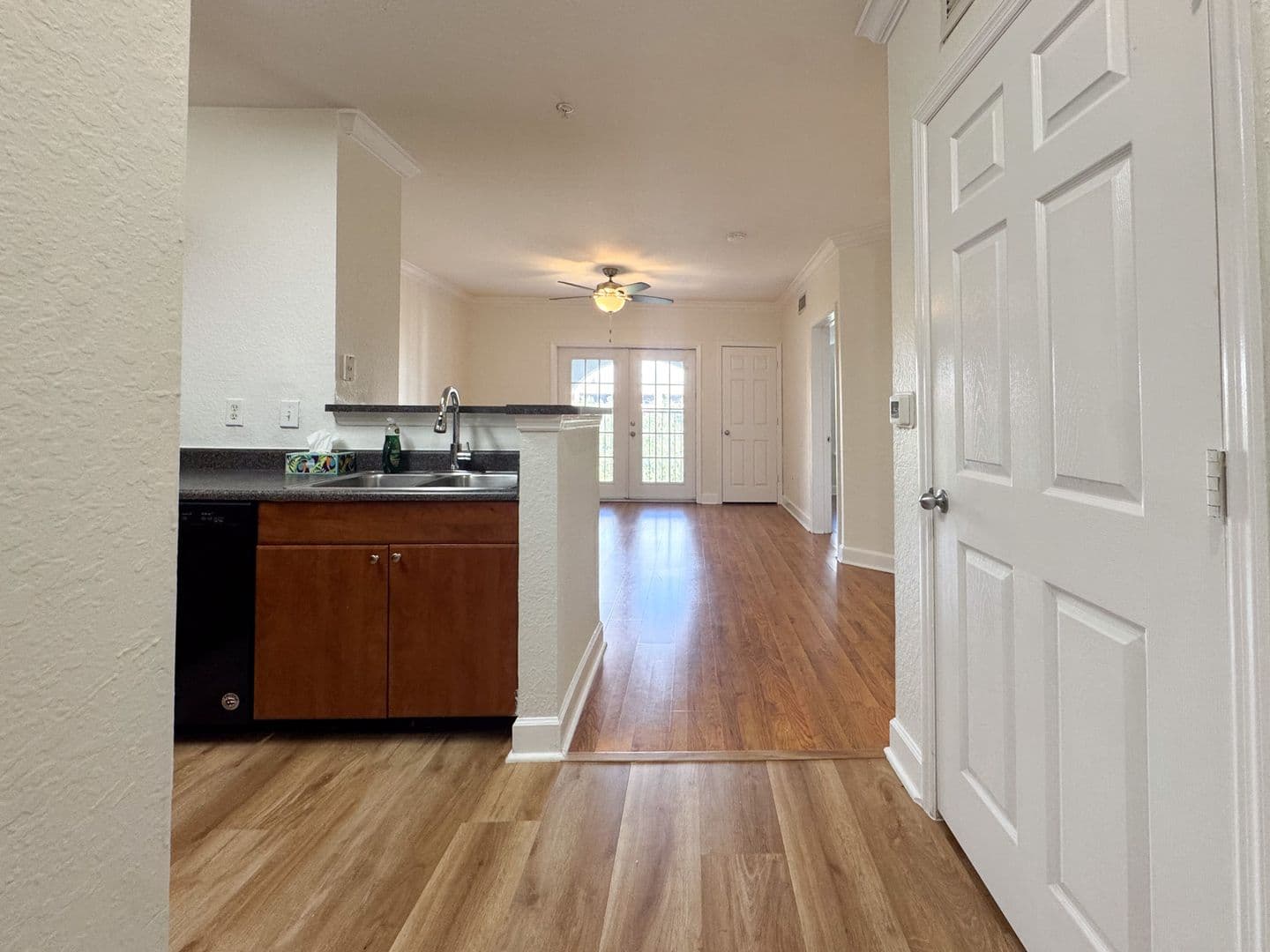 Orlando Condo: 206 E South St