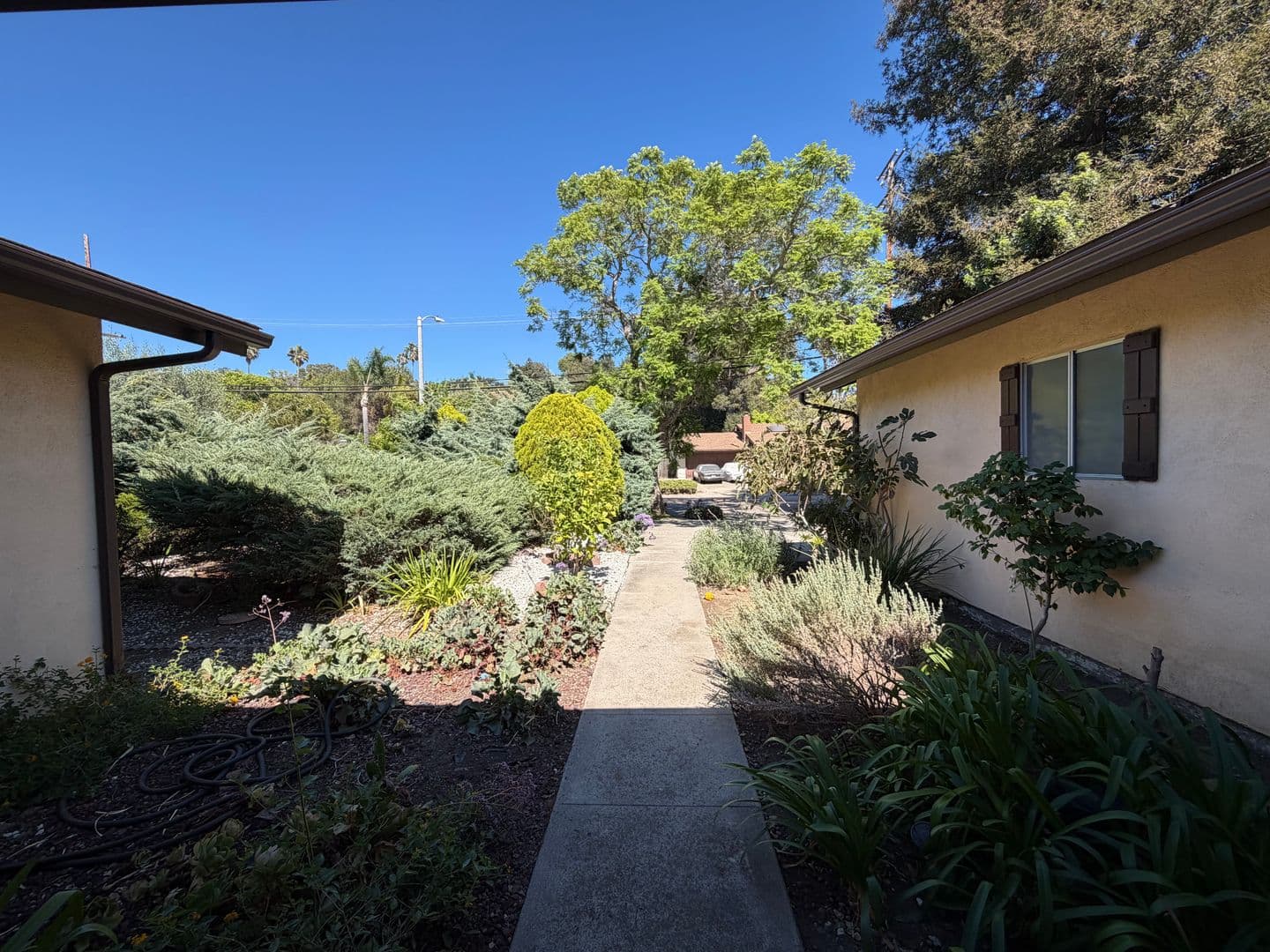 Santa Barbara House: 943 N Patterson Ave